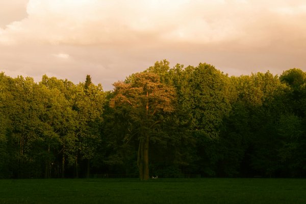 Trouver un bon ophtalmologue : ce qu'il faut savoir
